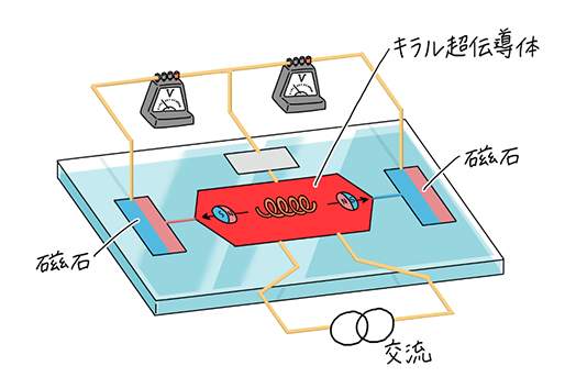 計画班B01・分子科学研究所・岡本裕巳教授らが参画した研究成果がNature誌に掲載されました。