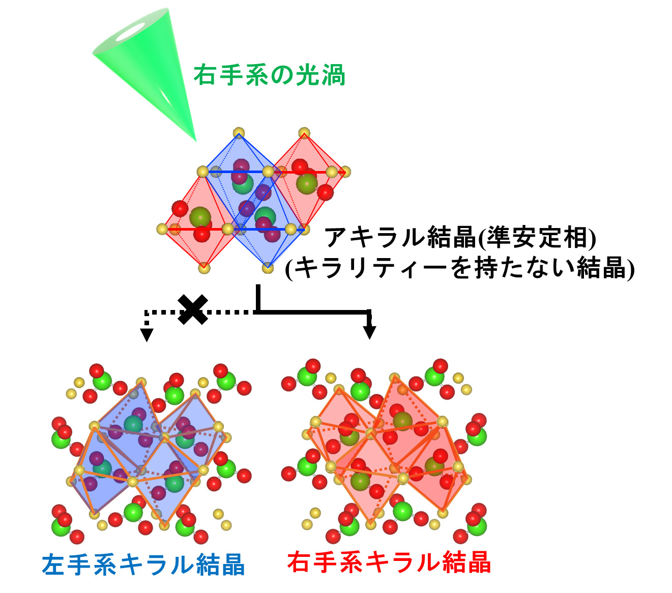 計画班C01・千葉大学・尾松孝茂教授、国立陽明交通大学・杉山輝樹教授らの論文がOptica誌に掲載されました。