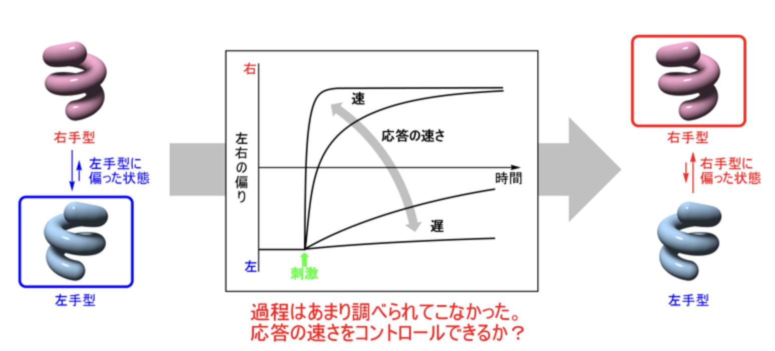 計画班A02・自然科学研究機構・江原 正博教授らが参画した研究成果がScience Advances誌に掲載されました。