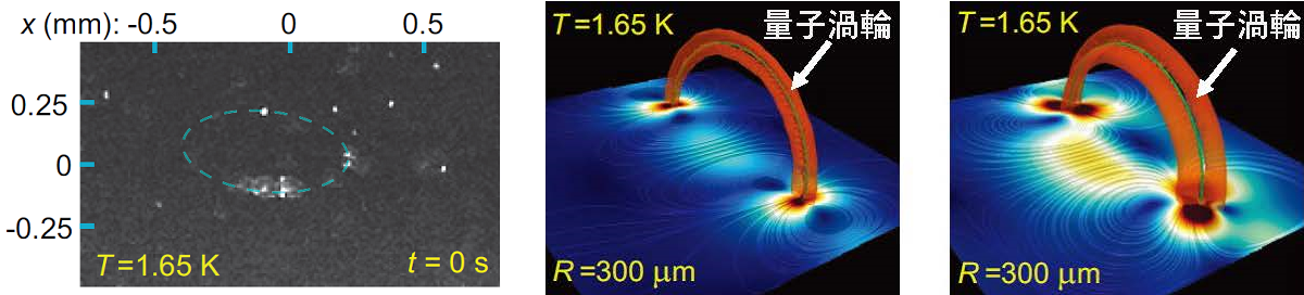 計画班C02・大阪公立大学・坪田 誠教授らが参画した研究成果がNature Communications誌に掲載されました。