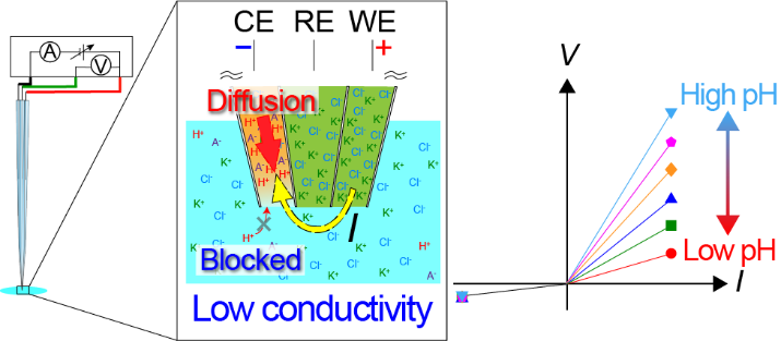 Kentaro Doi (Toyohashi University of Technology) has published a research article in J. Phys. Chem. C.