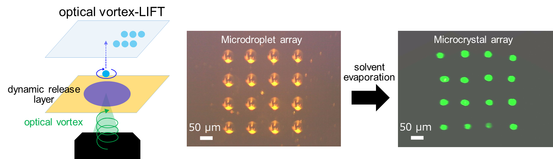 Dr. Ken-ichi Yuyama (Osaka Metropolitan Univ.) and Prof. Takashige Omatsu (Chiba Univ.) have published a research article in AIP Advances.