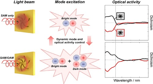 Yoshito Tanaka (Hokkaido University) and Malcolm Kadodwala (University of Glasgow) have published a research article in Nano Letters.