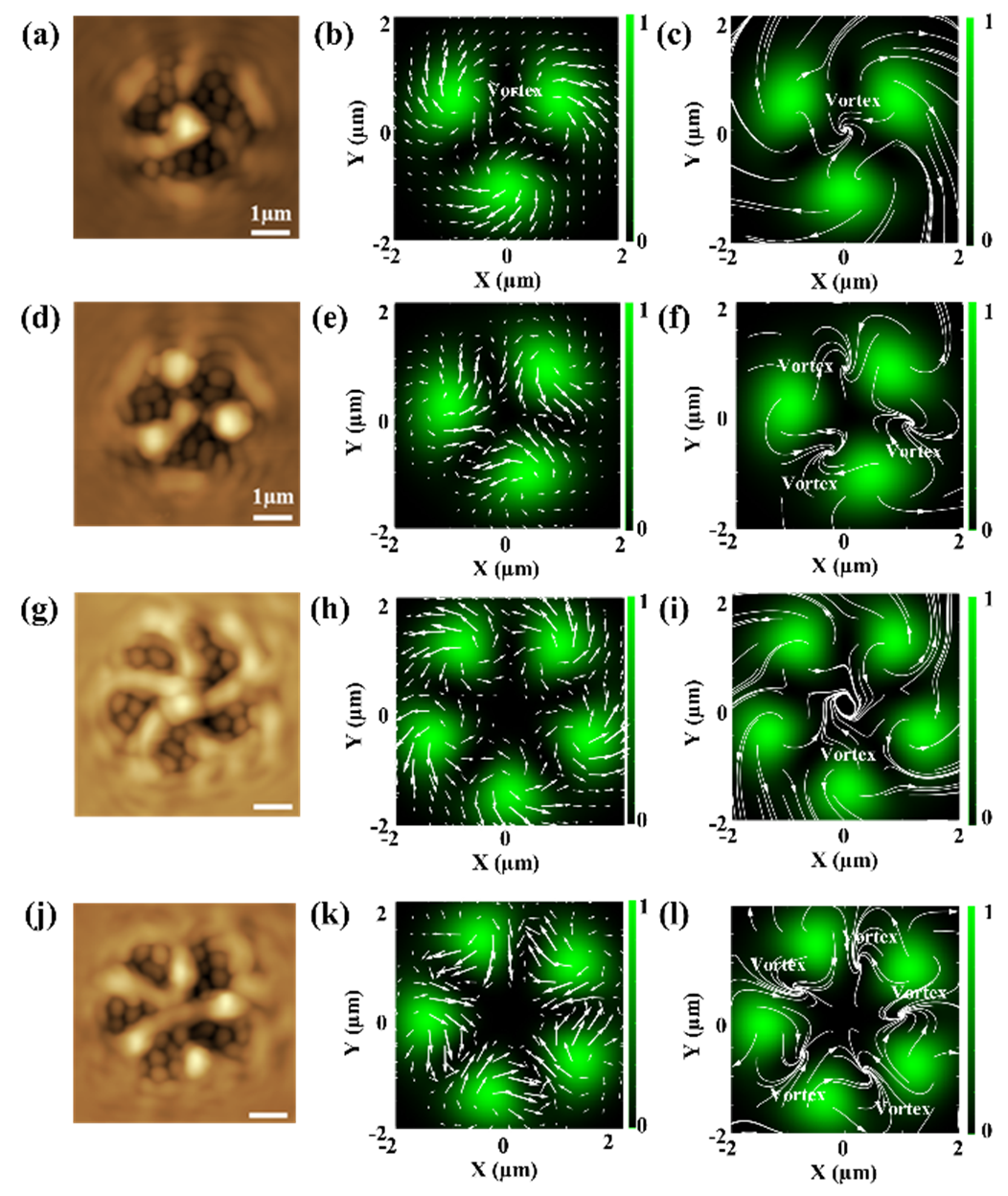 Takashige Omatsu(Chiba University) and Atsushi Taguchi (Hokkaido University) have published a research article  in Nanophotonics.