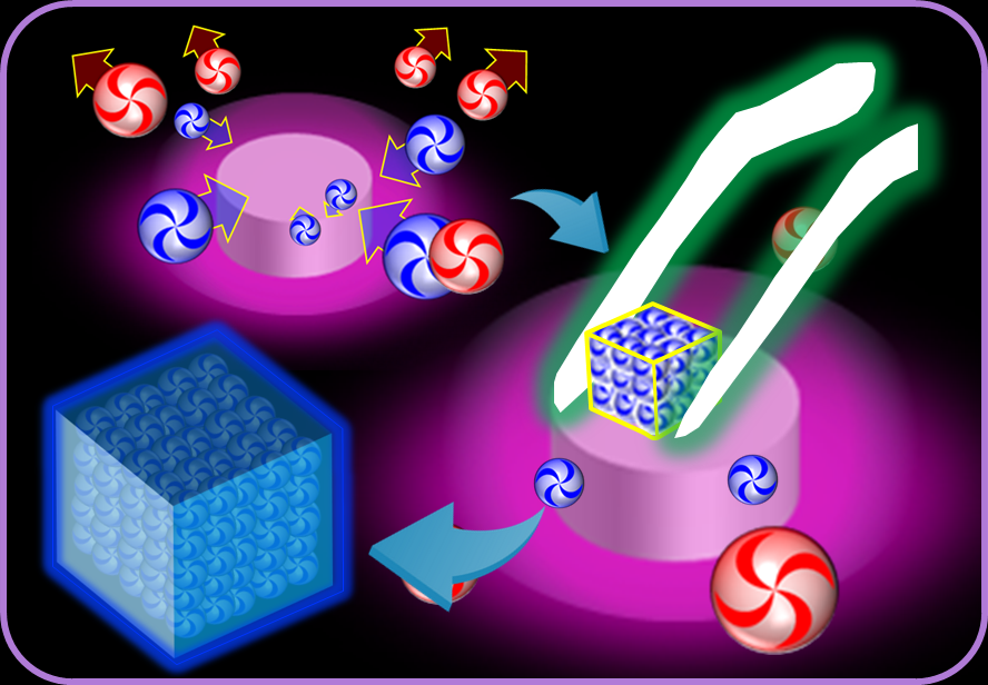 Hiromasa Niinomi and Tomoya Oshikiri (Tohoku University) have published a research article  in the Journal of Physical Chemistry C.