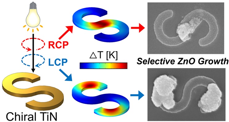 公募研究B・瀬戸浦健仁准教授（兵庫県立大学）および井村考平教授（早稲田大学）と、計画研究B02・押切友也准教授（東北大学）、公募研究C・田村守専任講師（関西学院大学）らの論文がNano Letters誌に掲載されました。