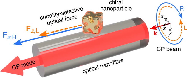 Mark Sadgrove (Tokyo University of Science) and Hiromi Okamoto (Institute for Molecular Science) have published a research article in Nature Communications.
